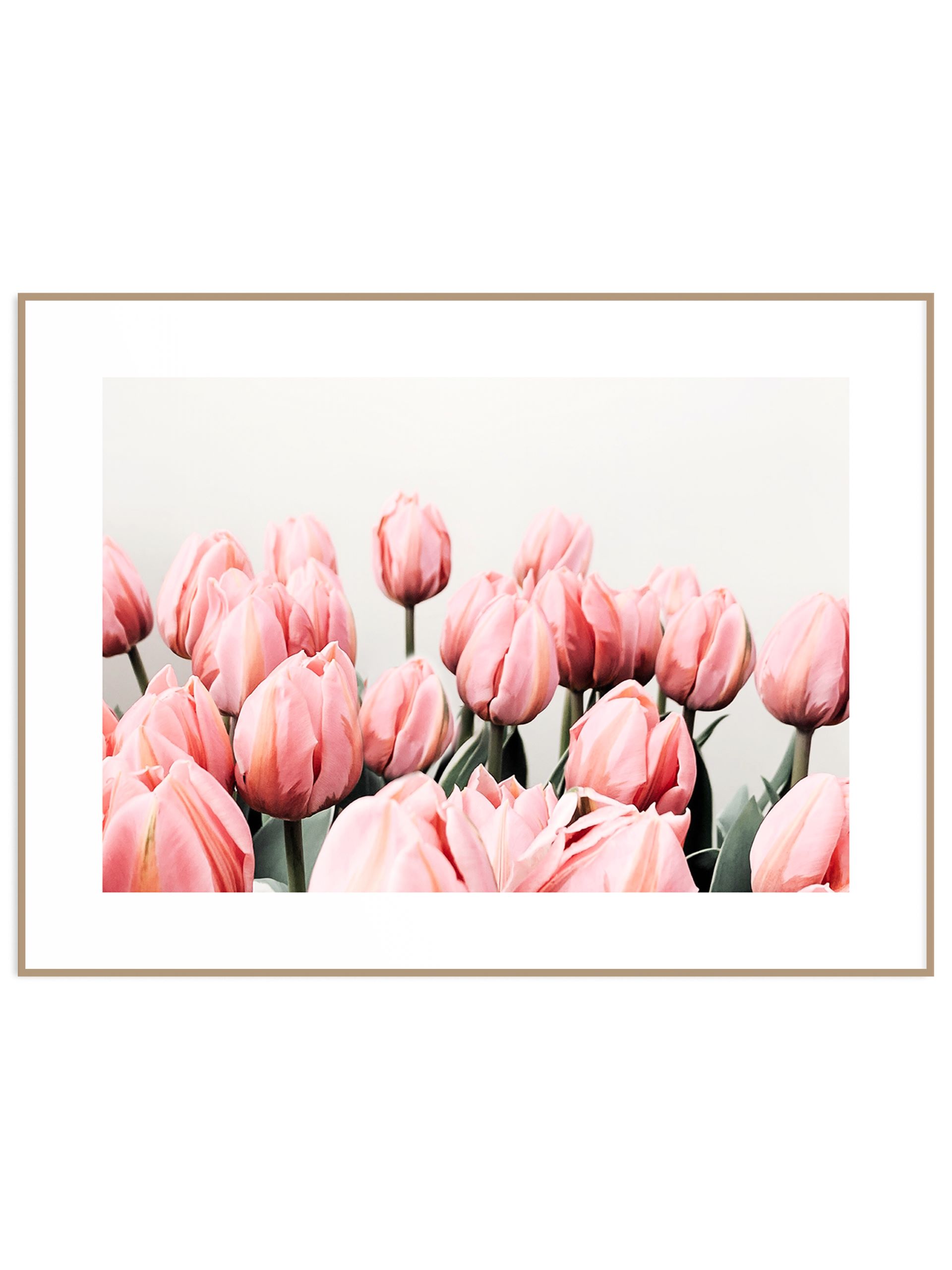 Letni plakat minimalistyczne różowe tulipany (sklep) Plakat tulipany różowe - obrazek 1