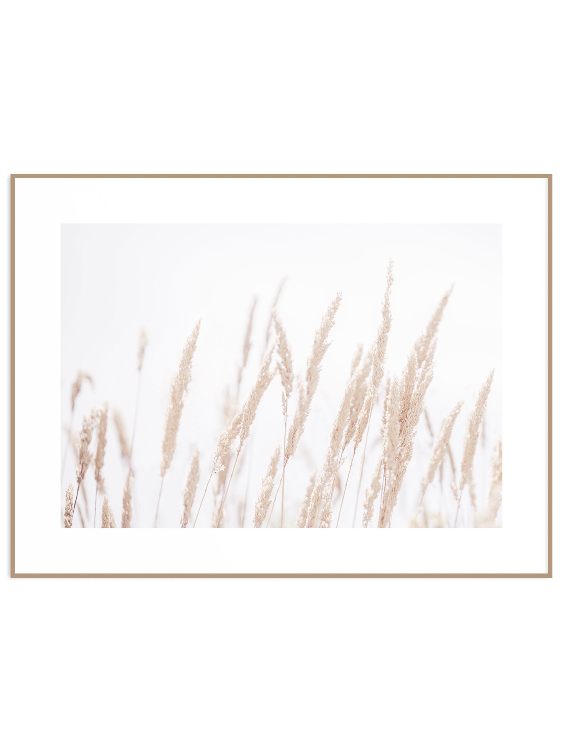Minimalistyczny plakat jasne suche trawy (sklep) Plakat trawy pampasowe 2 - obrazek 1