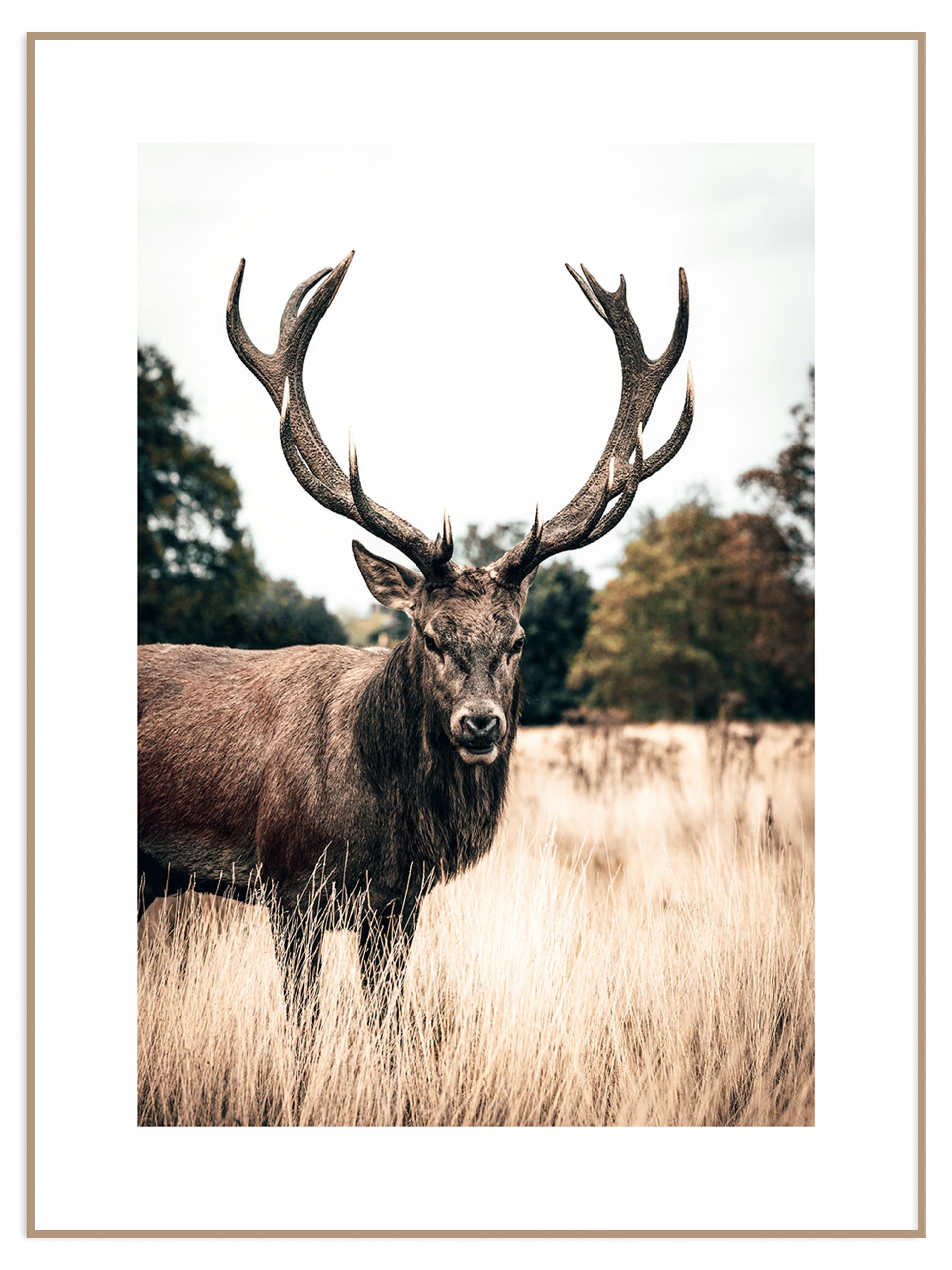 Plakat boho jeleń (sklep) Plakat jeleń - obrazek 1
