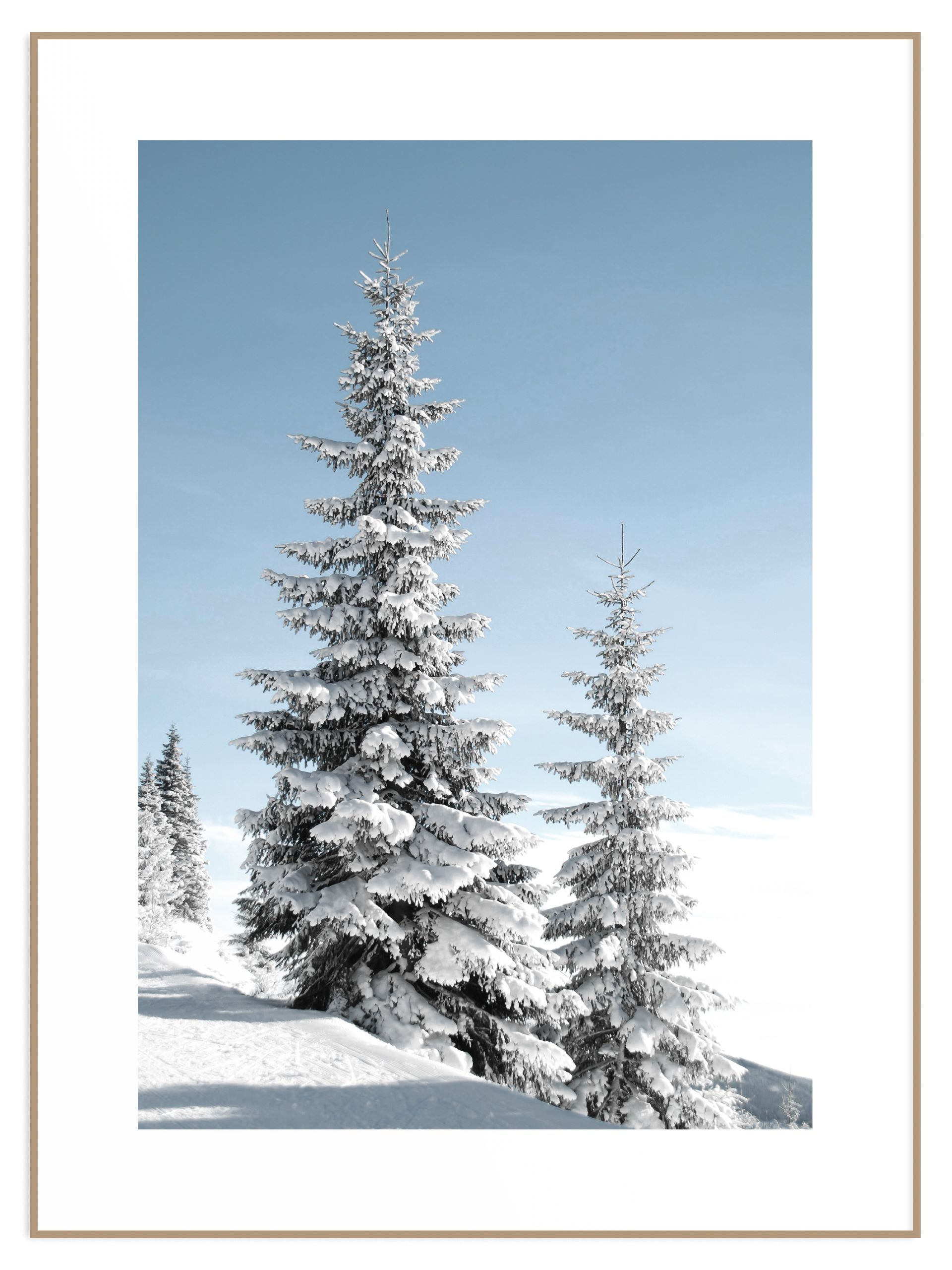 Plakat choinki na stoku Plakat choinki na stoku - obrazek 1