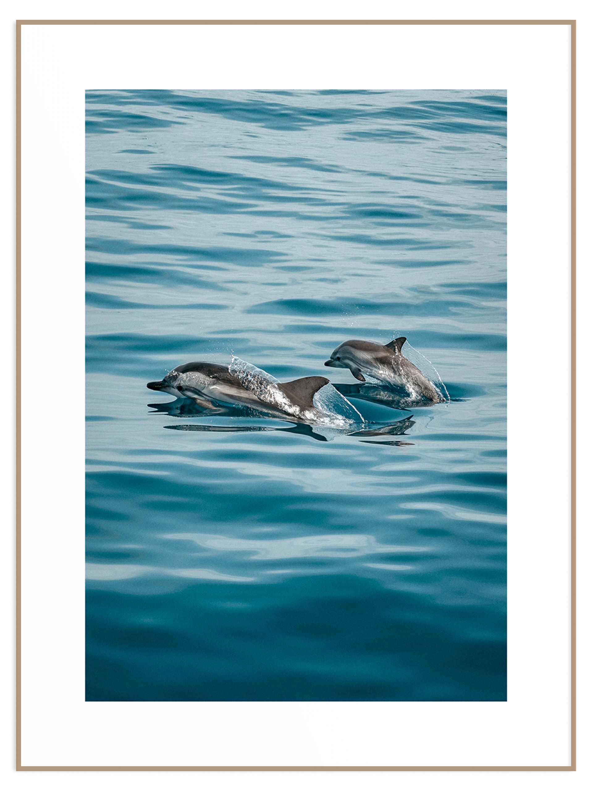 Plakat delfiny w niebieskim oceanie (sklep) Plakat delfiny w błękitnym oceanie - obrazek 1