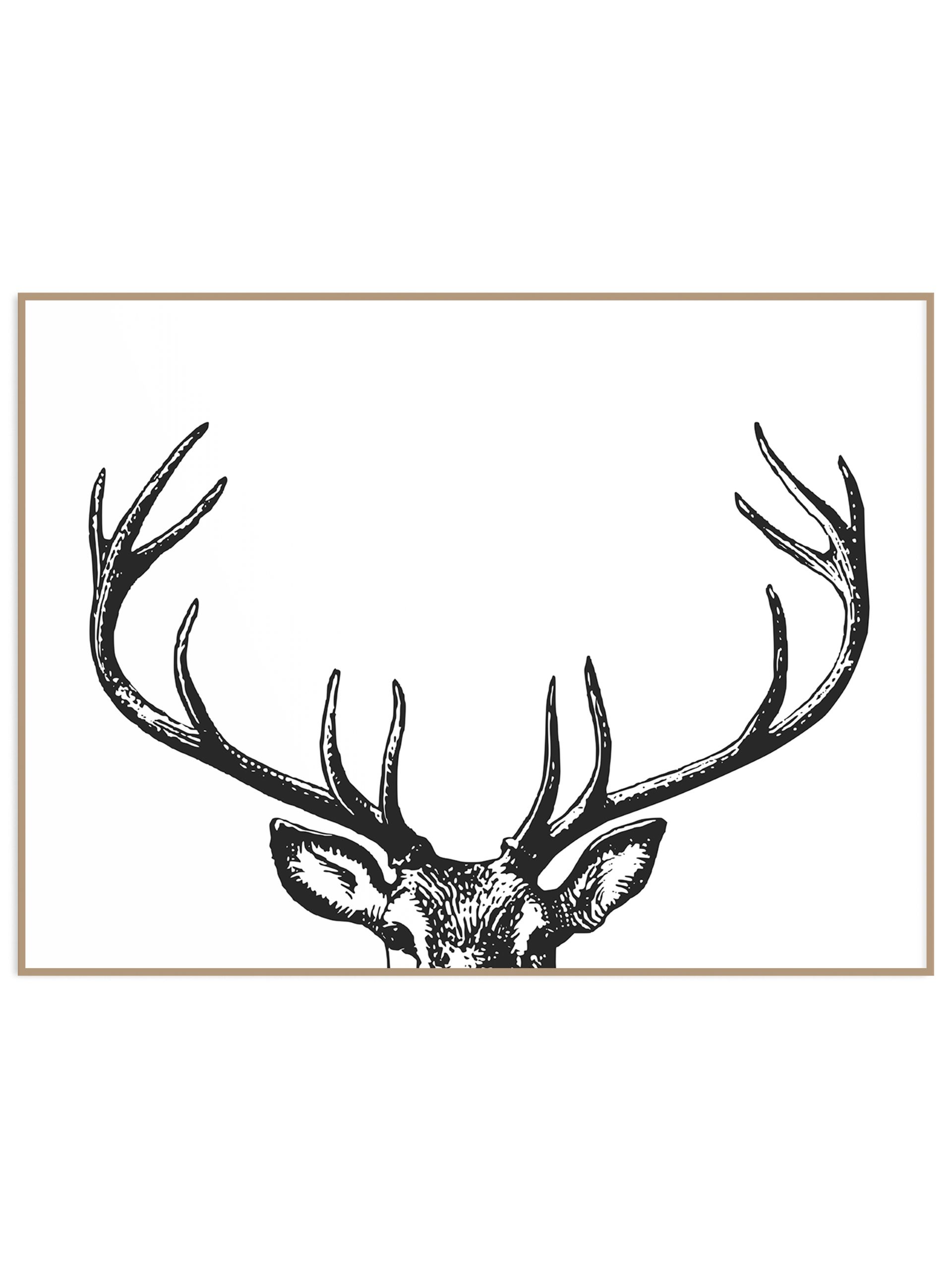 Plakat duże jelenie rogi (sklep) Plakat rogi renifera - obrazek 1