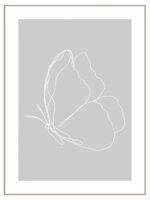 Plakat grey butterfly