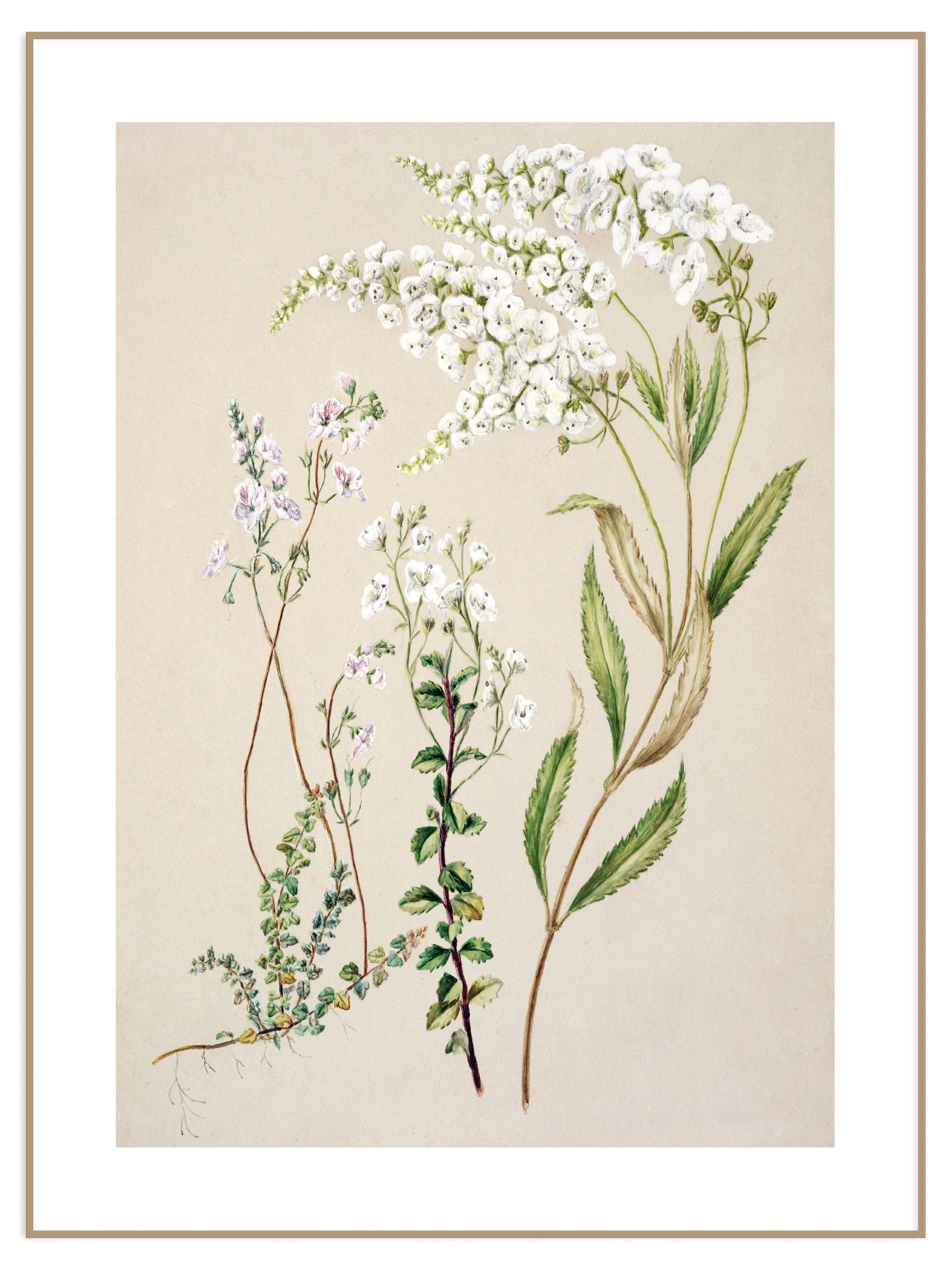 Plakat light vintage flowers (l) Plakat light vintage flowers - obrazek 1