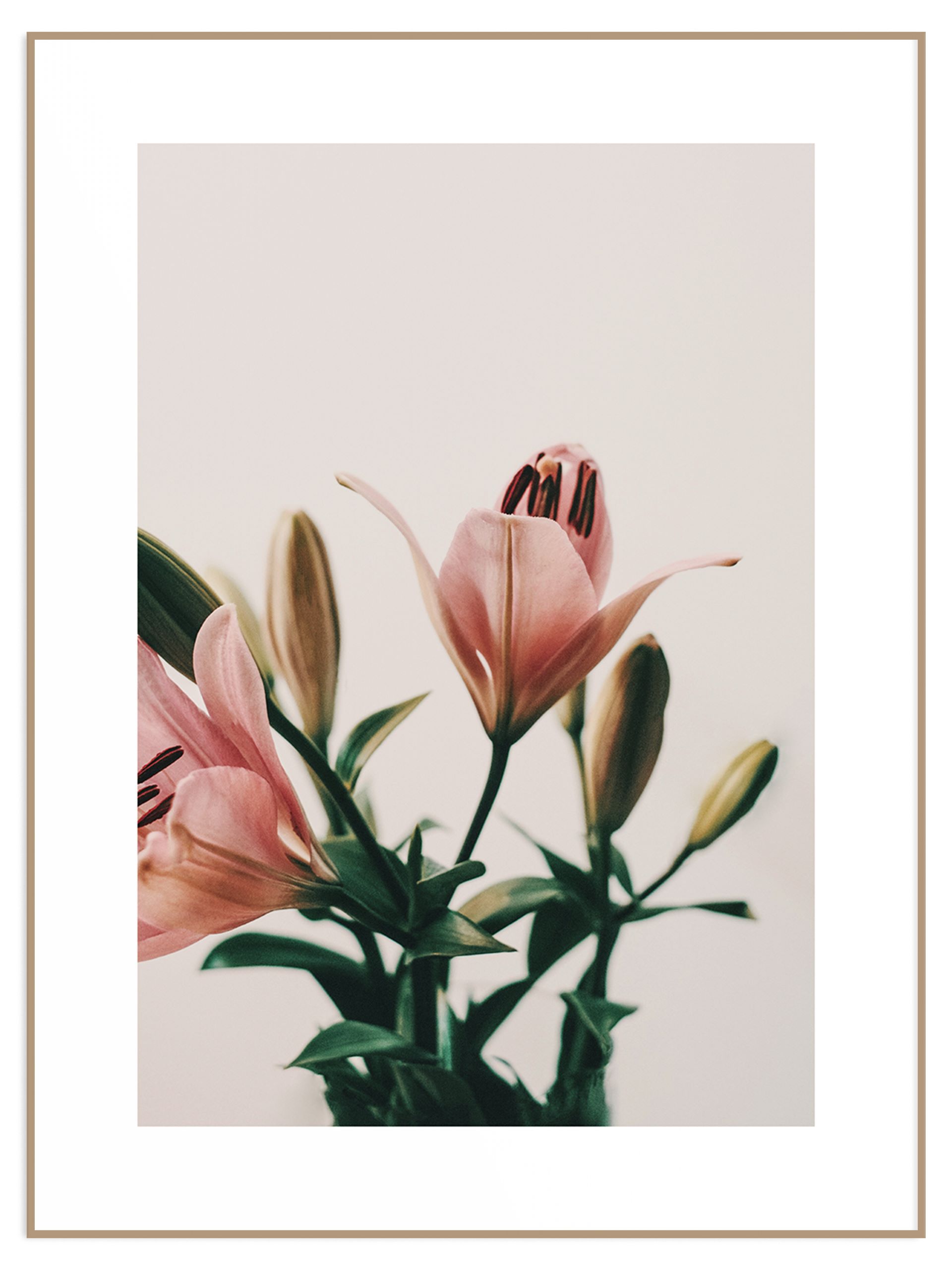 Plakat minimalistyczne lilie (sklep) Plakat lilie - obrazek 1