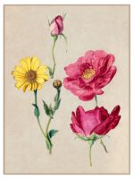 Plakat vintage kwiaty - obrazek 3