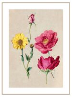 Plakat vintage kwiaty