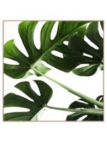 Plakat monstera - obrazek 2